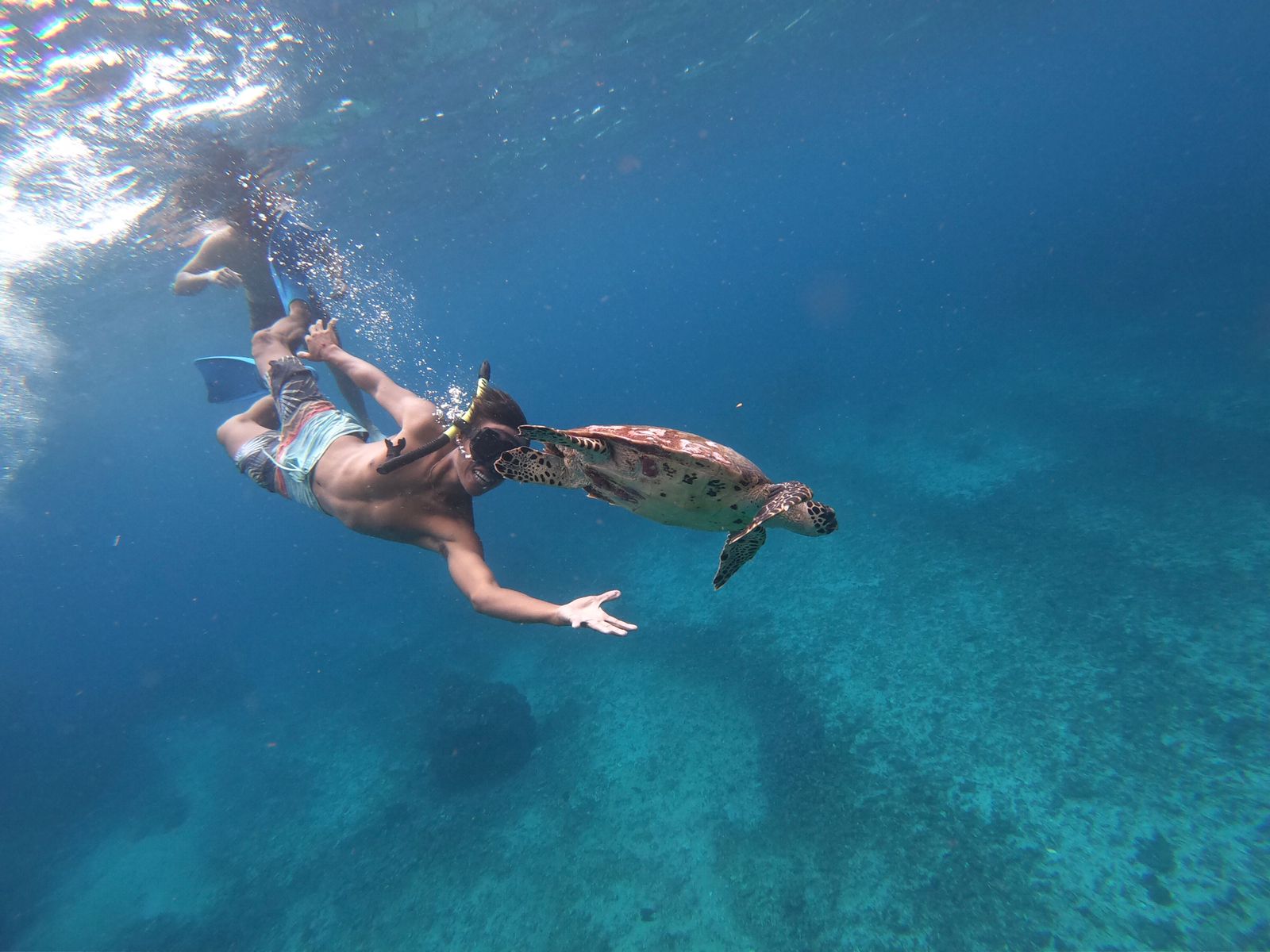 Nusa Lembongan Snorkeling and Day Tour from Bali